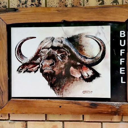 Buffalo Marloth Park Dış mekan fotoğraf